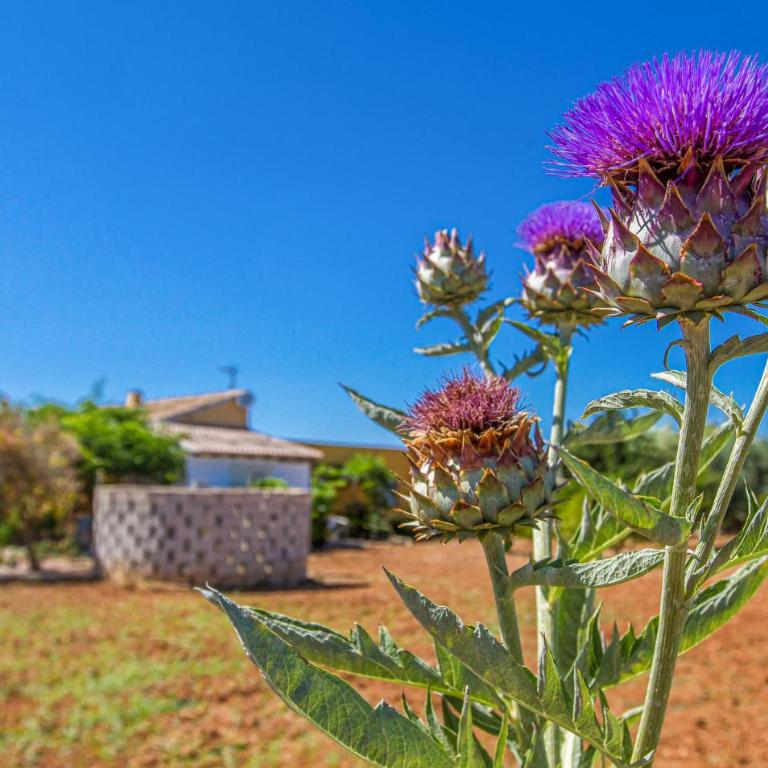 Lovely Home In Denia With Wifi - Four-Bedroom Vacation Home - 16