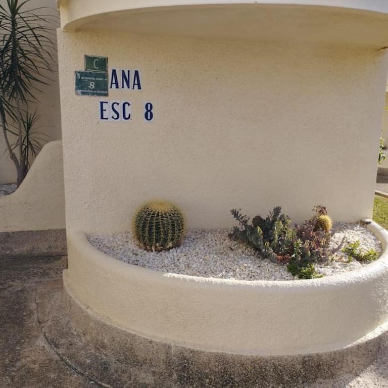 Ruhige Ferienwohnung für alle an der Costa Blanka bei Denia - Apartamento de 2 dormitorios - 7