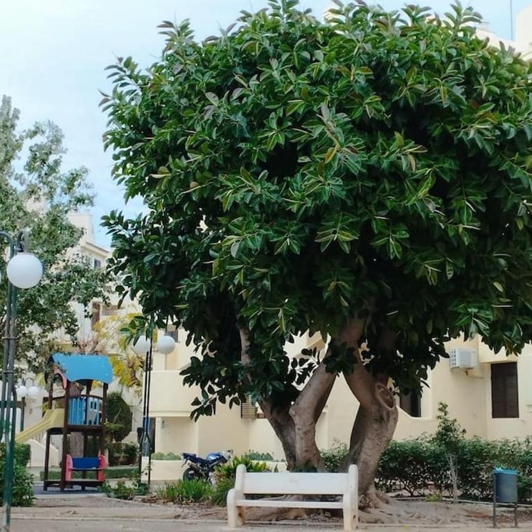 Ruhige Ferienwohnung für alle an der Costa Blanka bei Denia - Apartamento de 2 dormitorios - 9