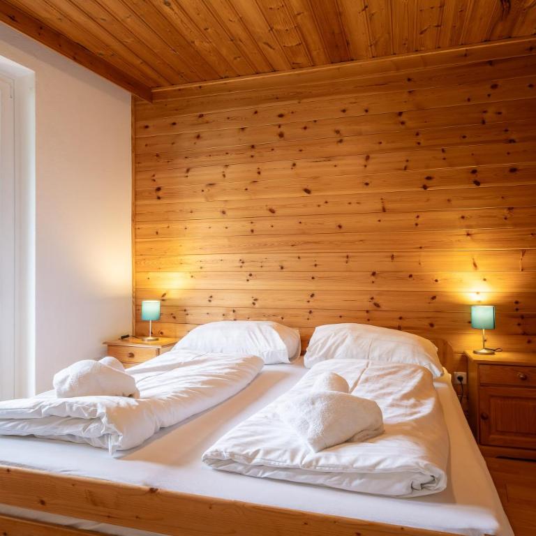 Appartementanlage Thermenblick SKI IN & SKI OUT - Apartment mit Balkon - 4