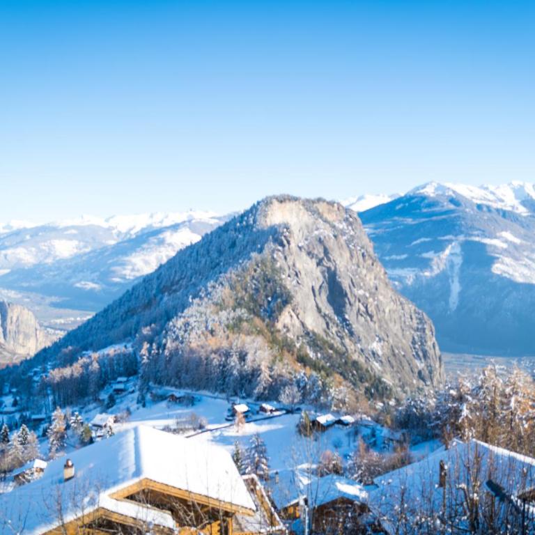 Chalet 4 Saisons - Boutique Alpine Guesthouse - Chambre Deluxe Double ou Lits Jumeaux - 20