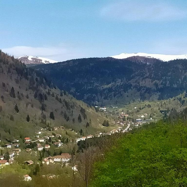 La Grange des Mios - Chalet - 13