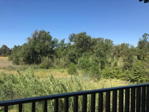 AGENCE JF IMMO - Apt 4 pers climatisation piscine et parking 300 m plages V0775 - Appartement 1 Chambre - 18