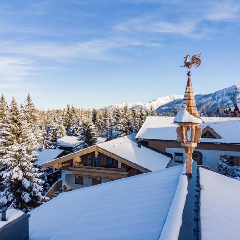 Falkensteinalm Top 1 - Vacation Home - 29