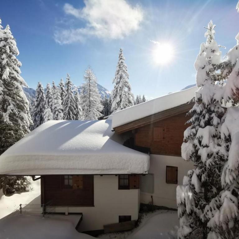Haus Wildkarblick Top 6 - Ferienhaus - 12