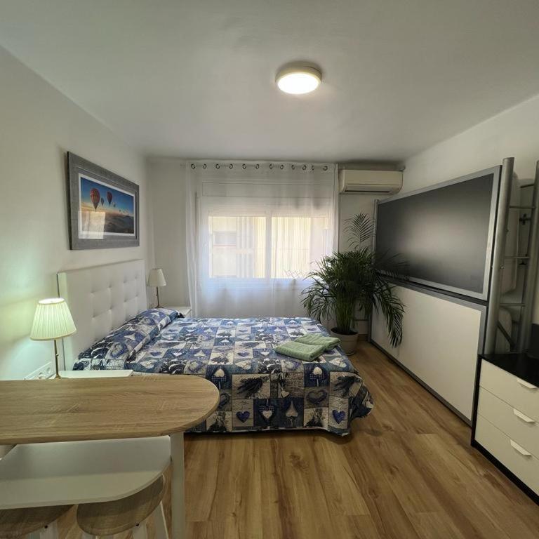 Roger Apartamentos - One-Bedroom Apartment - 4