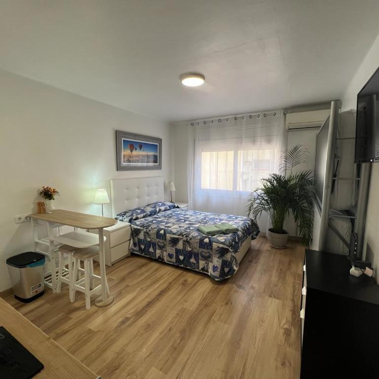 Roger Apartamentos - One-Bedroom Apartment - 3