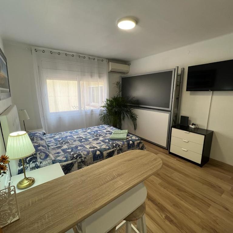Roger Apartamentos - One-Bedroom Apartment - 1