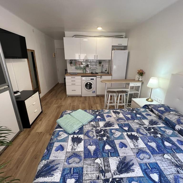Roger Apartamentos - One-Bedroom Apartment - 2