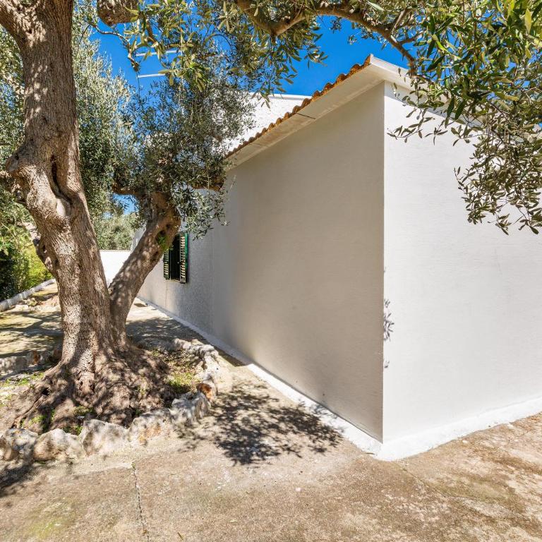 Villa La Bianca Ostuni by BarbarHouse - Casa con 3 Camere da Letto - 47