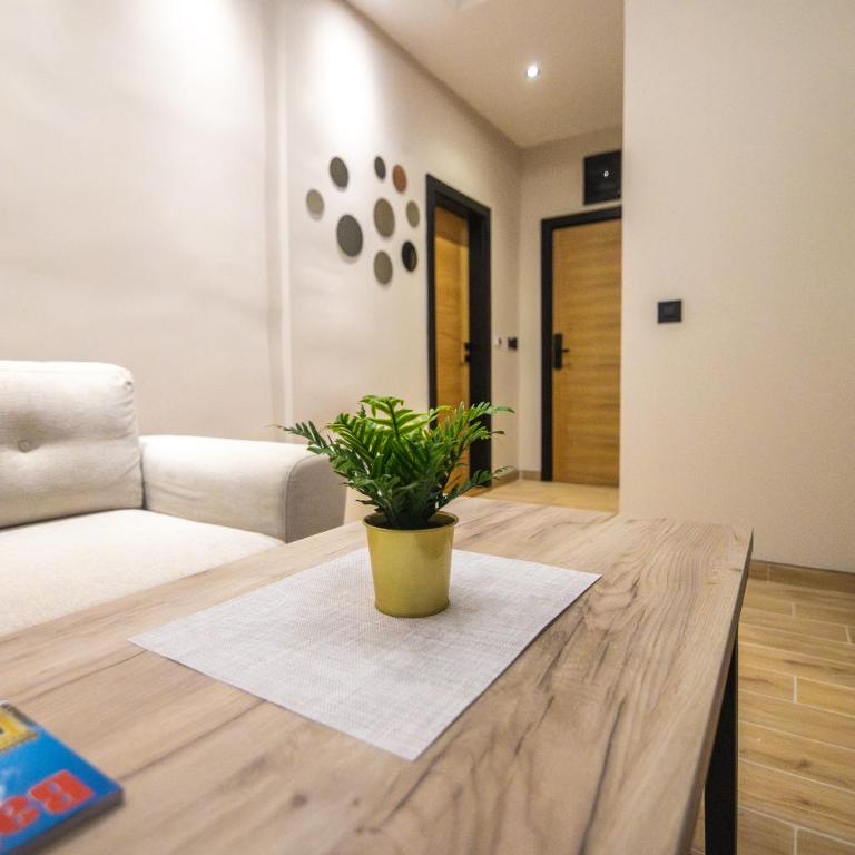 Apartmani Monero - Deluxe One-Bedroom Apartment - 10
