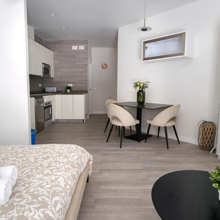 PREMIUM MALAGUETA SUITE - Apartamento de 1 dormitorio - 7