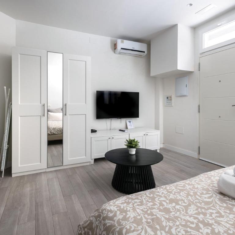 PREMIUM MALAGUETA SUITE - Apartamento de 1 dormitorio - 12