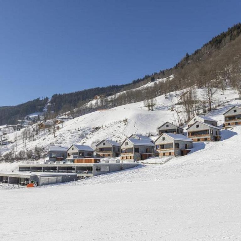 Smaragdresort Top 3.2 Happy Alps - Ferienhaus - 11