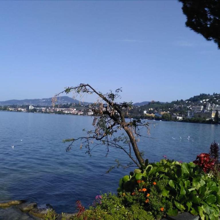 Appartement avec jardin privé à Montreux 100mt du lac - Apartment mit 1 Schlafzimmer - 58
