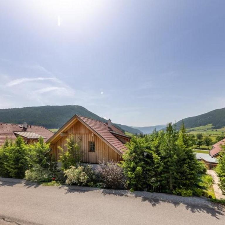 Panorama Chalet Taurachtal - Ferienhaus - 20