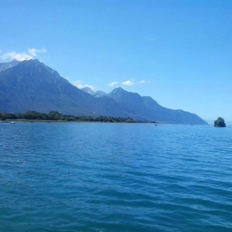 Appartement avec jardin privé à Montreux 100mt du lac - Apartment mit 1 Schlafzimmer - 43