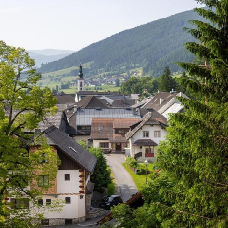 Panorama Chalet Grau - Ferienhaus - 24