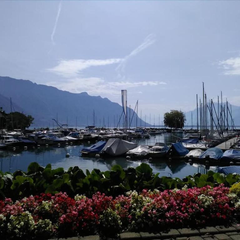 Appartement avec jardin privé à Montreux 100mt du lac - Apartment mit 1 Schlafzimmer - 64