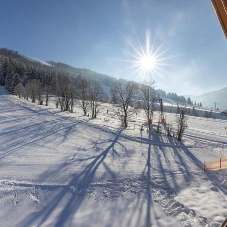 Mountainresort Top 13 - Vacation Home - 12