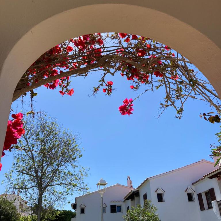 2 Bedroom Apartment, Son Bou, San Jamie,Menorca - Apartamento de 2 dormitorios - 8