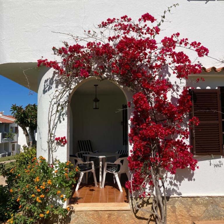2 Bedroom Apartment, Son Bou, San Jamie,Menorca - Apartamento de 2 dormitorios - 4