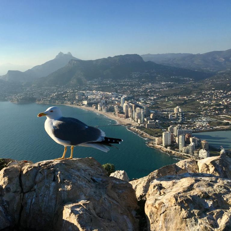 Casa Albita Calpe - Apartamento de 1 dormitorio - 41