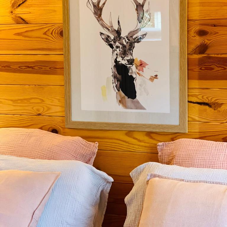 Hygge Lodge Annecy - Chalet 1 Chambre - 21