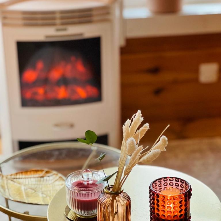 Hygge Lodge Annecy - Chalet 1 Chambre - 23