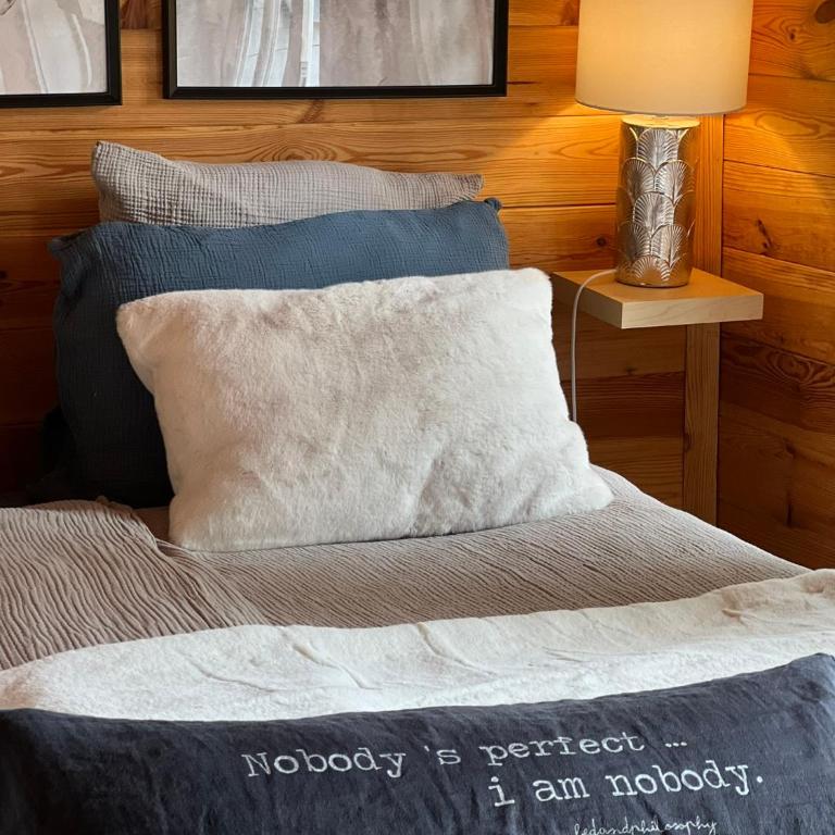 Hygge Lodge Annecy - Chalet 1 Chambre - 28