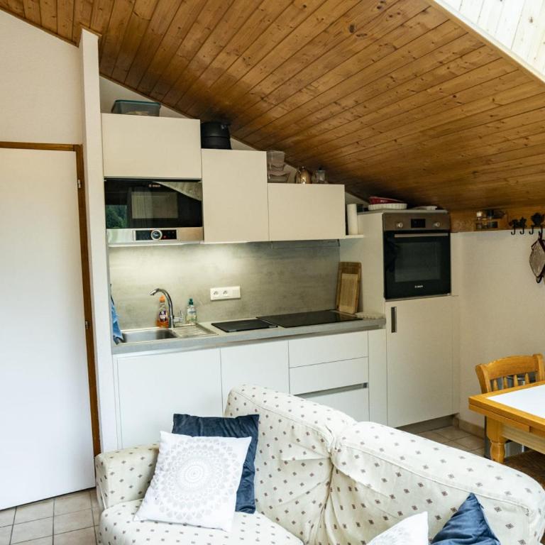 Appartement Châtel 4 pièces, 6 pers. avec balcon, garage, wifi - FR-1-676-160 - Appartement - 7