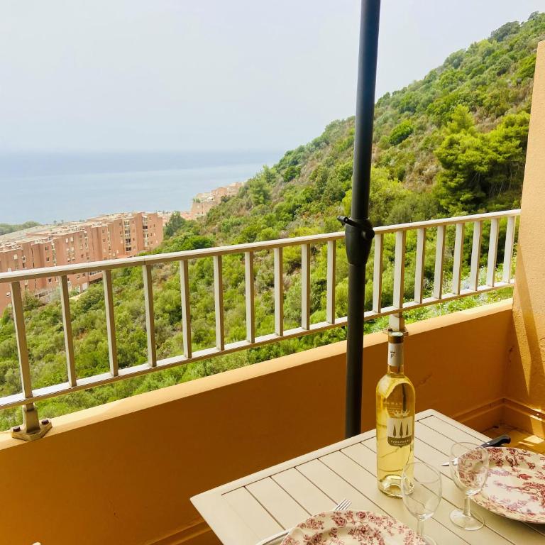 Studio Climatise , belle vue mer - Apartment mit 1 Schlafzimmer - 6