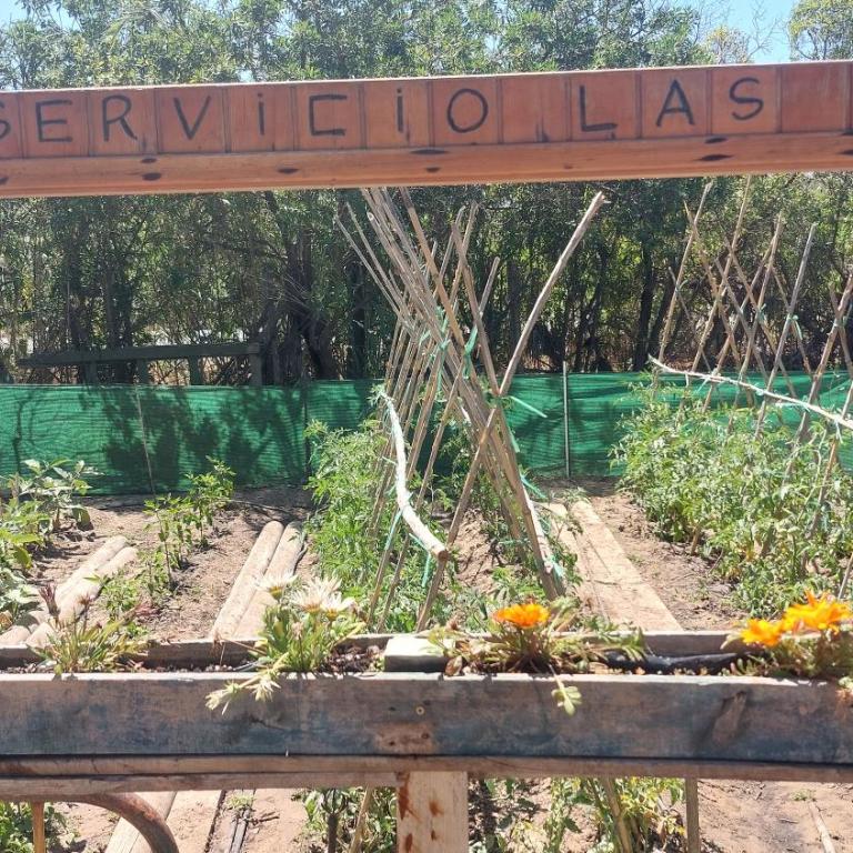 En Finca Las Dunas dos Chalets con jacuzzis en primera linea de playa , uno de 4 dormitorios y otro de 2 dormitorios, Llama al Seiscientos veintisiete Cuatrocientos diecisiete Trescientos noventa y ocho - Chalet - 3