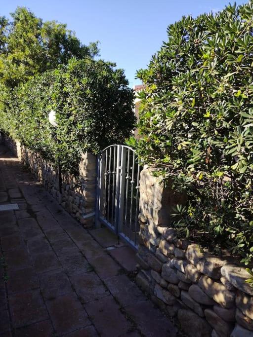 Villa Malugi Oasi Esclusiva a Costa Rei - Villa con Vista Giardino - 2