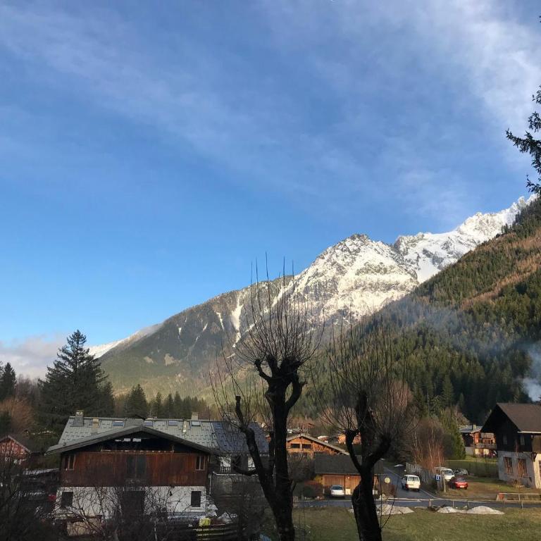 Charmant T2 Chamonix avec balcon, accepte animaux - FR-1-507-45 - Apartamento (4 adultos) - 10