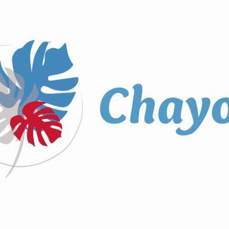 Chayo's Departamentos - One-Bedroom Apartment - 1