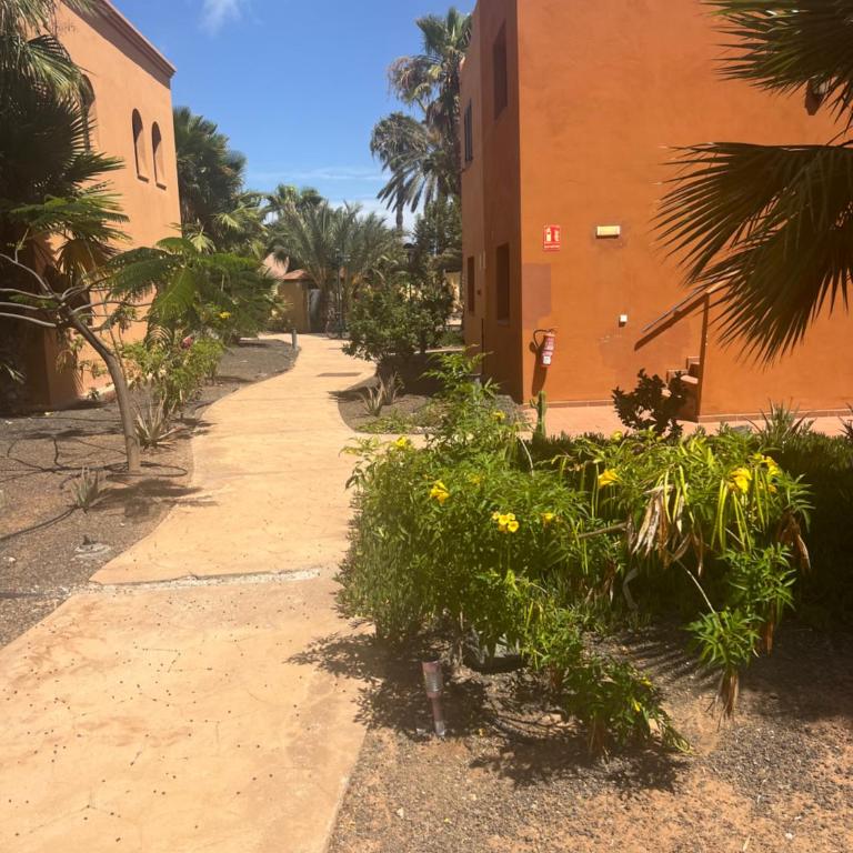 Paraíso del Mar - Apartamento de 1 dormitorio - 66