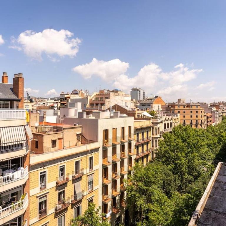 Penthouse with private terrace in the center - Apartamento de 1 dormitorio con terraza - 11