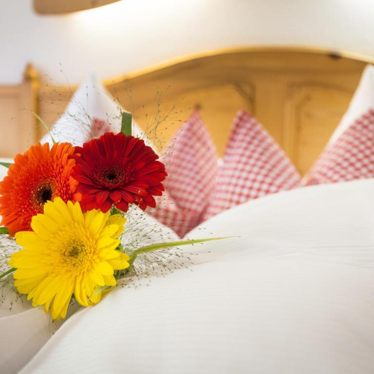 Hotel Garni Hanslerhof " Urlaub am Bauernhof " - Einzelzimmer mit Balkon - 5