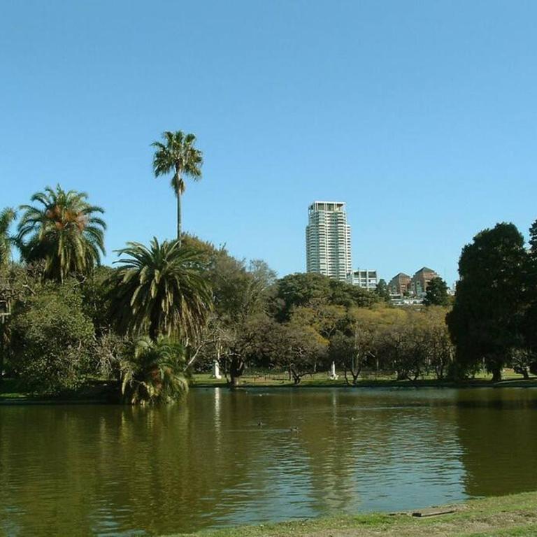 Luminoso Estudio en Palermo, Las cañitas - One-Bedroom Apartment - 36