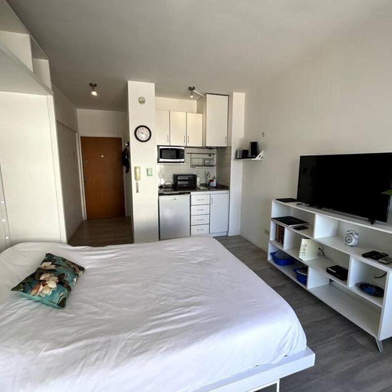 Luminoso Estudio en Palermo, Las cañitas - One-Bedroom Apartment - 23