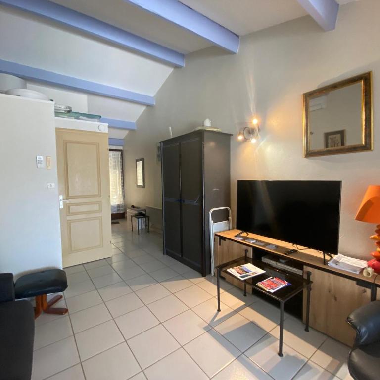 Charmant T2 avec terrasse - Animaux admis - FR-1-503-155 - Appartement - 4