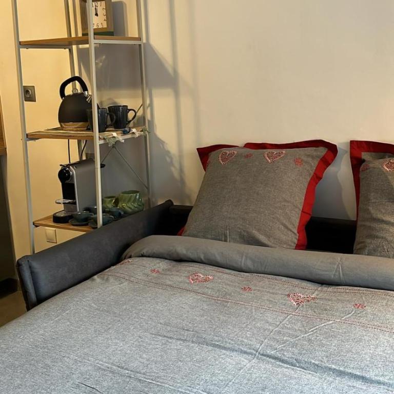 STUDIO DENT DU CROCODILE, AIGUILLE du MIDI, BALCON, PARKING - Studio mit Bergblick - 6