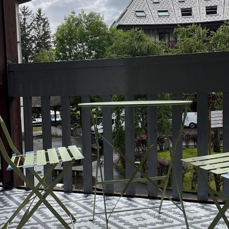 STUDIO DENT DU CROCODILE, AIGUILLE du MIDI, BALCON, PARKING - Studio mit Bergblick - 5