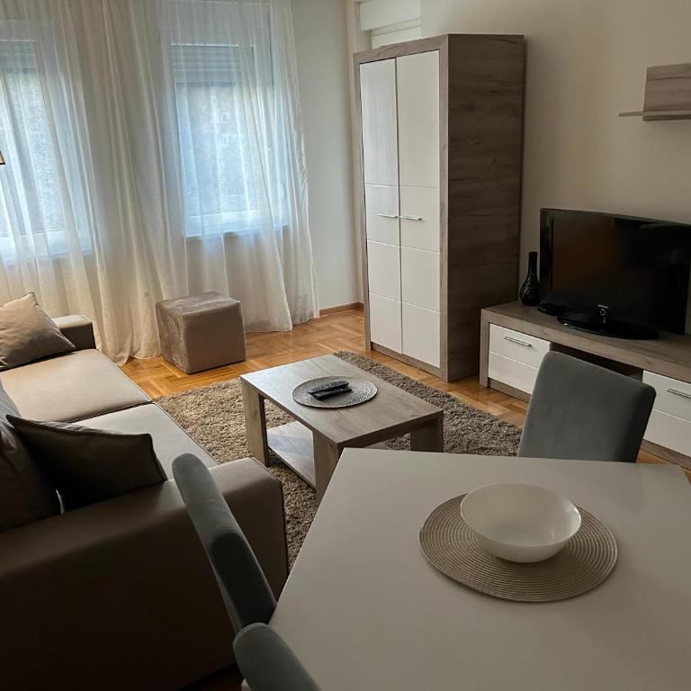 Apartmani CENTAR Vrnjacka Banja & Free Parking - One-Bedroom Apartment - 6