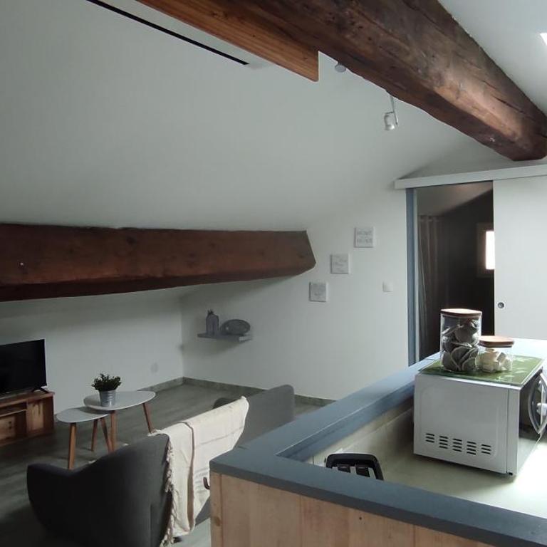 Sous les toits - Appartement 1 Chambre - 12