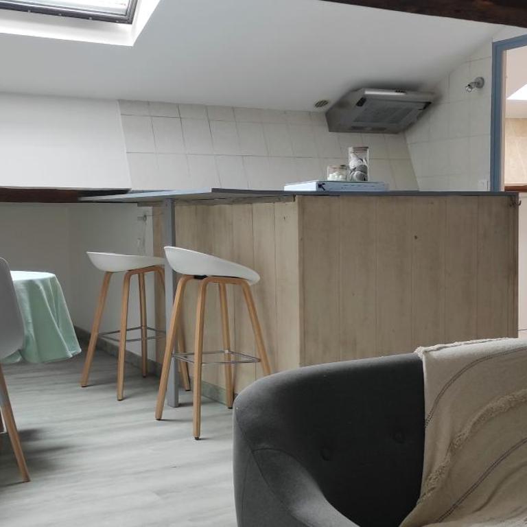 Sous les toits - Appartement 1 Chambre - 15