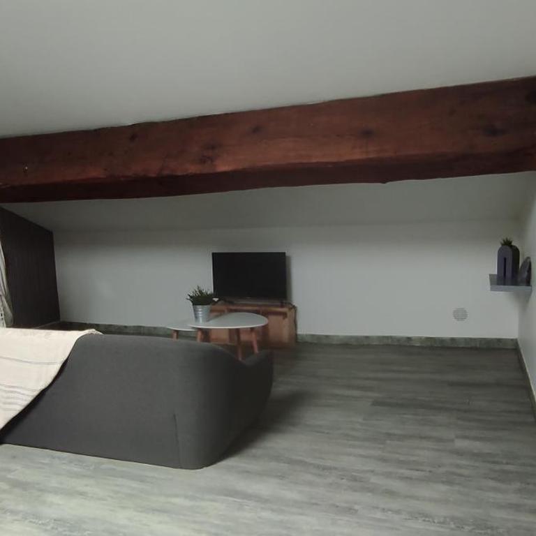 Sous les toits - Appartement 1 Chambre - 16