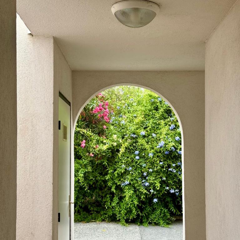 Beach Cannes Bungalows - Holiday Apartments near Cannes - Appartement - Rez-de-Chaussée - 38
