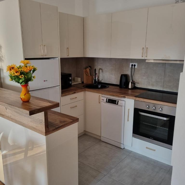 Sunset Apartman - Apartman sa 1 Spavaćom Sobom, Balkonom i Pogledom na Grad - 9